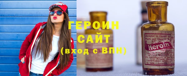 гашик Алексин