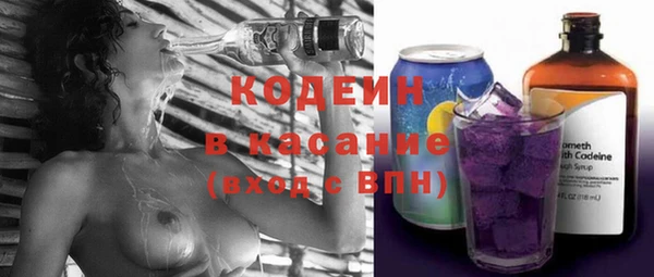 гашик Алексин