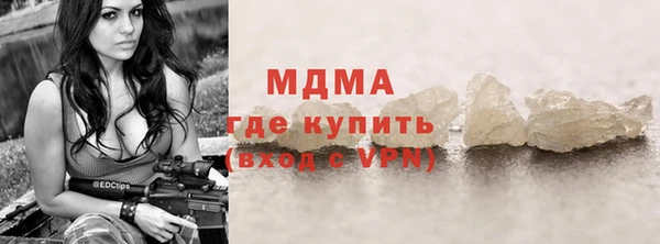 гашик Алексин