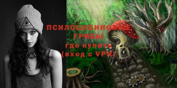 МДПВ Алзамай