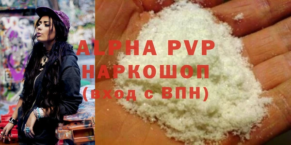 гашик Алексин