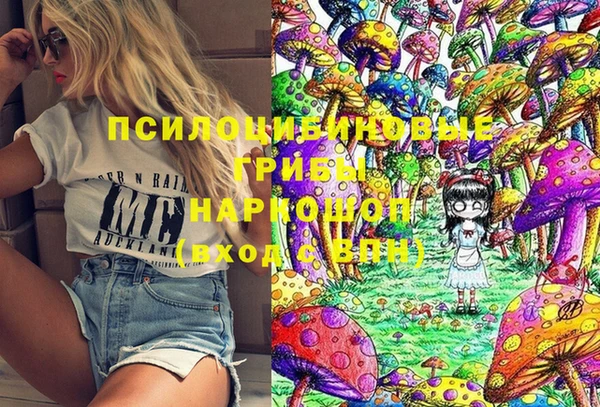 индика Алексеевка