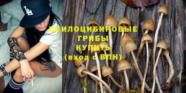 МДПВ Алзамай