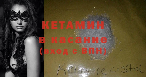 гашик Алексин